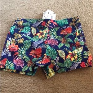 Janie and Jack “tropical” shorts